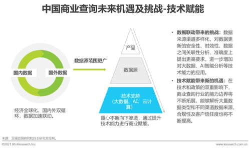 2021年中國(guó)商業(yè)查詢發(fā)展研究報(bào)告 穩(wěn)健增長(zhǎng)與創(chuàng)新應(yīng)用并重